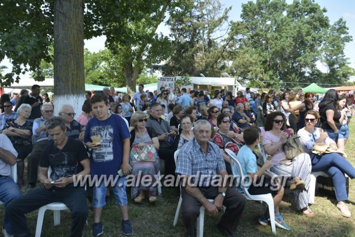 alexandriamou.gr_trikala28.5.2018428